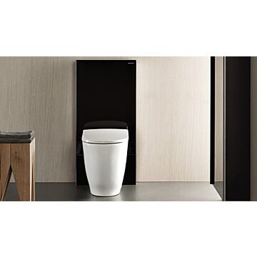 Geberit Acanto med Monolith